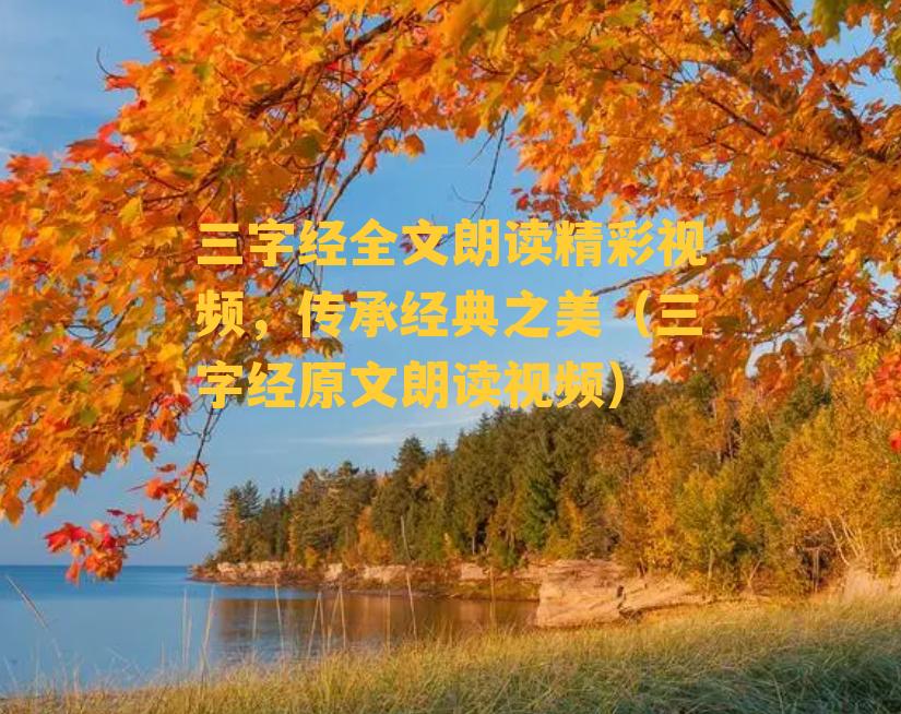 三字经全文朗读精彩视频，传承经典之美（三字经原文朗读视频）