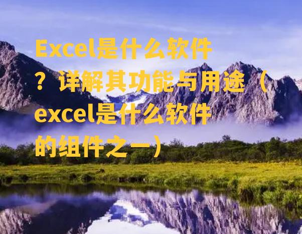 Excel是什么软件？详解其功能与用途（excel是什么软件的组件之一）