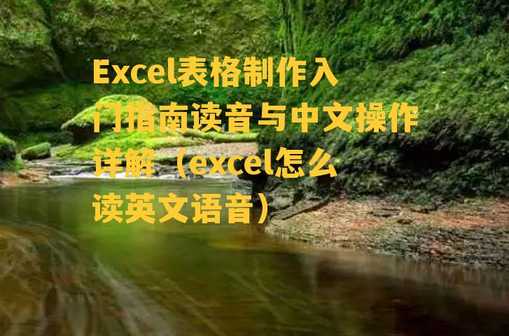 Excel表格制作入门指南读音与中文操作详解（excel怎么读英文语音）