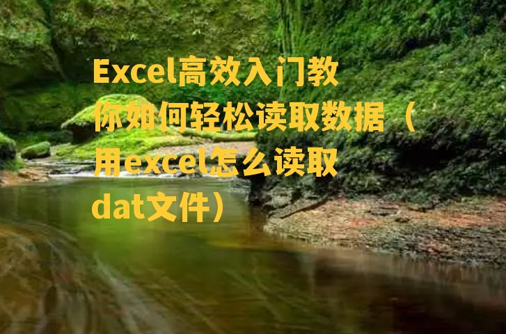 Excel高效入门教你如何轻松读取数据（用excel怎么读取dat文件）