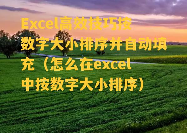 Excel高效技巧按数字大小排序并自动填充（怎么在excel中按数字大小排序）