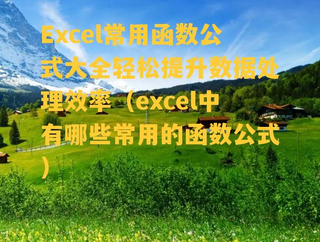 Excel常用函数公式大全轻松提升数据处理效率（excel中有哪些常用的函数公式）