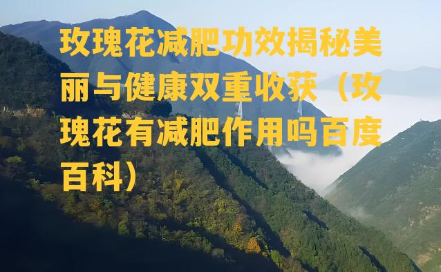 玫瑰花减肥功效揭秘美丽与健康双重收获（玫瑰花有减肥作用吗百度百科）