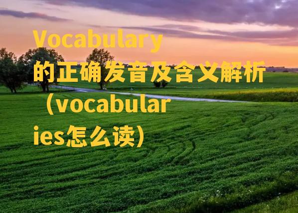 Vocabulary的正确发音及含义解析（vocabularies怎么读）