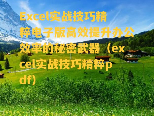 Excel实战技巧精粹电子版高效提升办公效率的秘密武器（excel实战技巧精粹pdf）