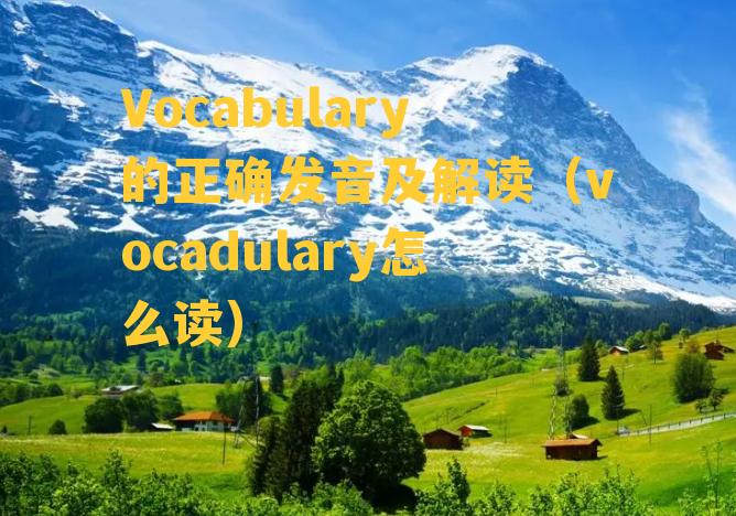 Vocabulary的正确发音及解读（vocadulary怎么读）