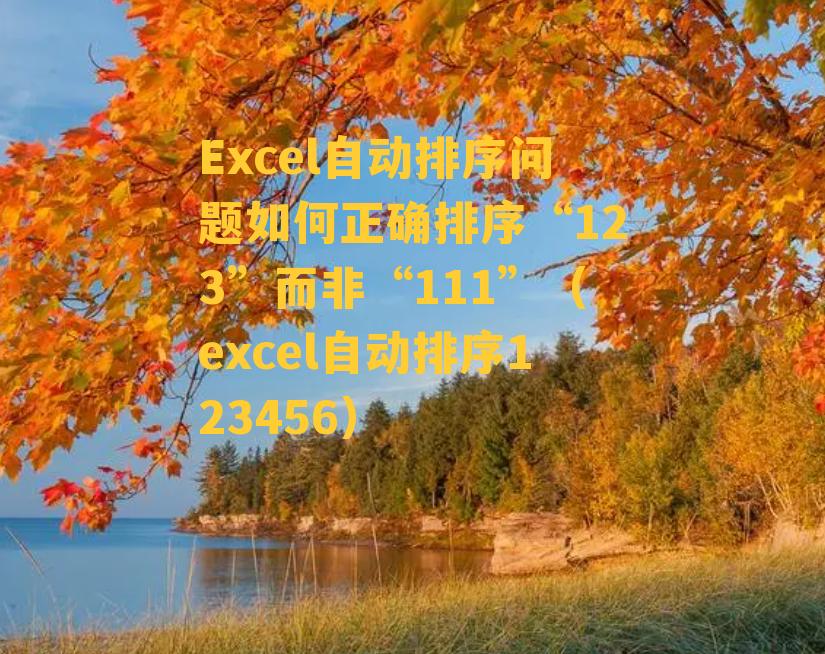 Excel自动排序问题如何正确排序“123”而非“111”（excel自动排序123456）