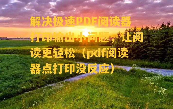 解决极速PDF阅读器打印输出小问题，让阅读更轻松（pdf阅读器点打印没反应）