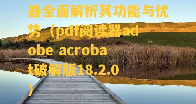 AdobePDF阅读器全面解析其功能与优势（pdf阅读器adobe acrobat破解版18.2.0）