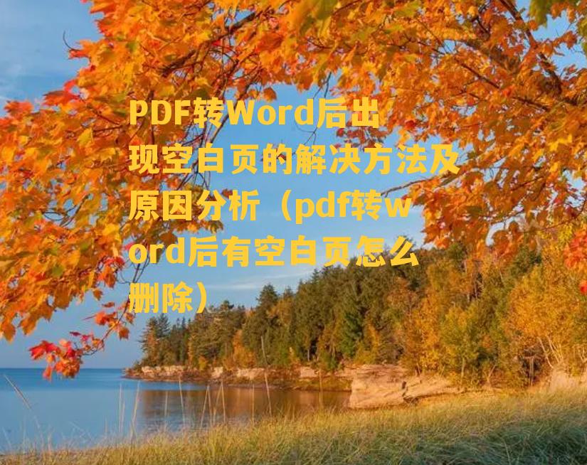 PDF转Word后出现空白页的解决方法及原因分析（pdf转word后有空白页怎么删除）