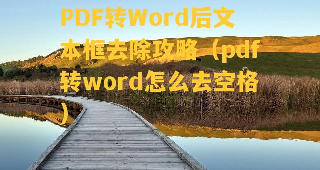 PDF转Word后文本框去除攻略（pdf转word怎么去空格）