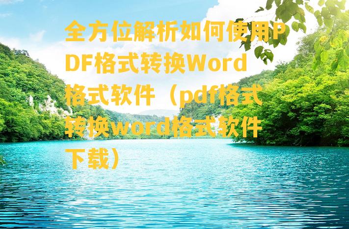 全方位解析如何使用PDF格式转换Word格式软件（pdf格式转换word格式软件下载）