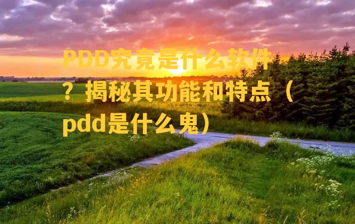 PDD究竟是什么软件？揭秘其功能和特点（pdd是什么鬼）