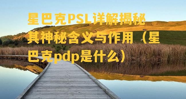 星巴克PSL详解揭秘其神秘含义与作用（星巴克pdp是什么）