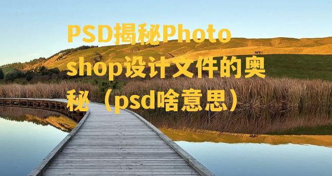 PSD揭秘Photoshop设计文件的奥秘（psd啥意思）