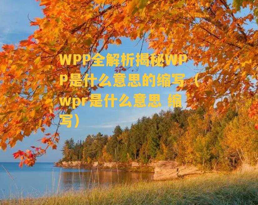 WPP全解析揭秘WPP是什么意思的缩写（wpr是什么意思 缩写）