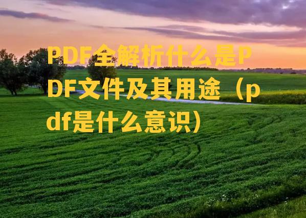 PDF全解析什么是PDF文件及其用途（pdf是什么意识）