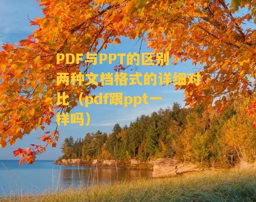 PDF与PPT的区别两种文档格式的详细对比（pdf跟ppt一样吗）