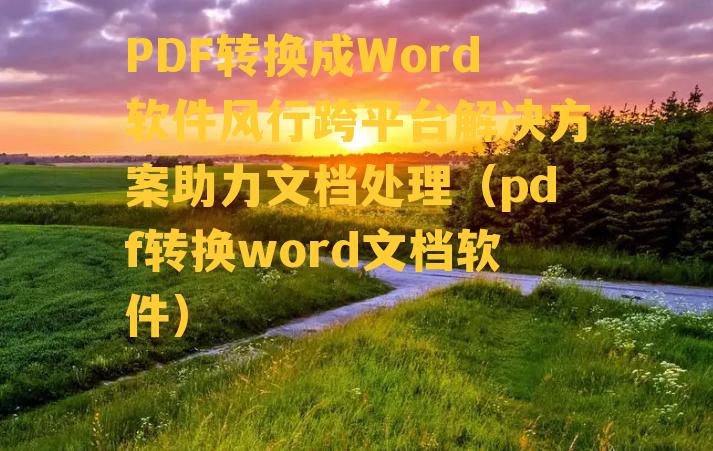 PDF转换成Word软件风行跨平台解决方案助力文档处理（pdf转换word文档软件）