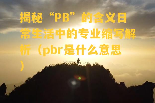 揭秘“PB”的含义日常生活中的专业缩写解析（pbr是什么意思）