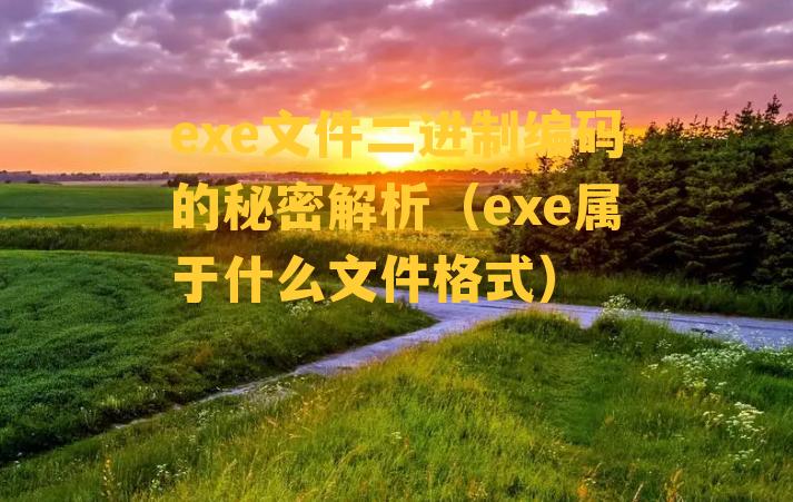 exe文件二进制编码的秘密解析（exe属于什么文件格式）