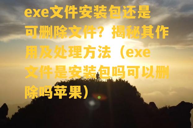 exe文件安装包还是可删除文件？揭秘其作用及处理方法（exe文件是安装包吗可以删除吗苹果）