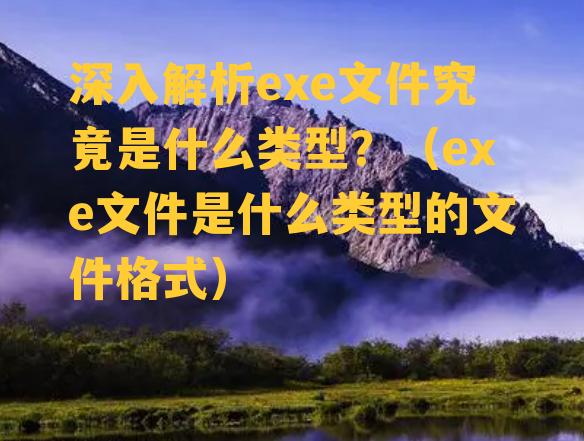 深入解析exe文件究竟是什么类型？（exe文件是什么类型的文件格式）