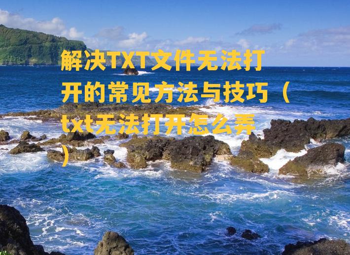 解决TXT文件无法打开的常见方法与技巧（txt无法打开怎么弄）