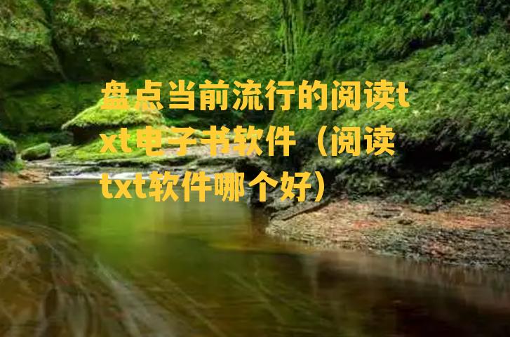 盘点当前流行的阅读txt电子书软件（阅读txt软件哪个好）