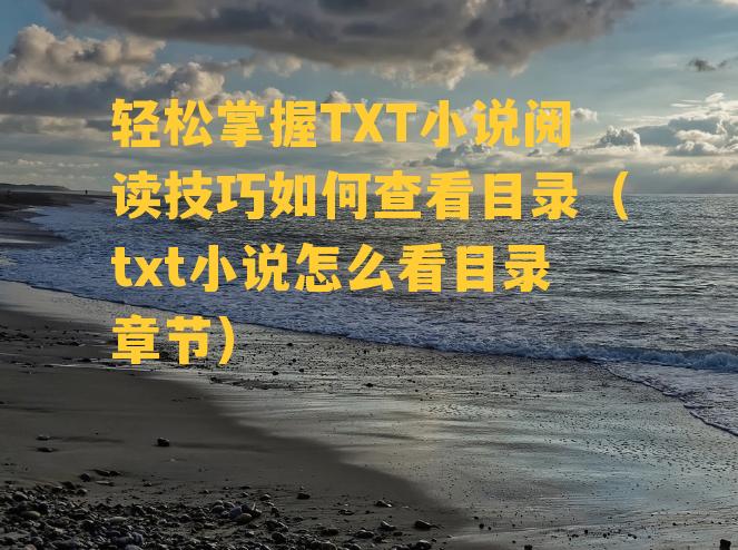 轻松掌握TXT小说阅读技巧如何查看目录（txt小说怎么看目录章节）