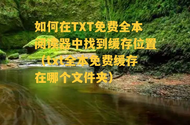 如何在TXT免费全本阅读器中找到缓存位置（txt全本免费缓存在哪个文件夹）