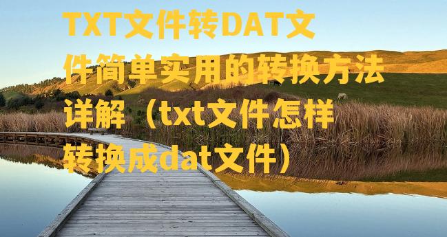 TXT文件转DAT文件简单实用的转换方法详解（txt文件怎样转换成dat文件）