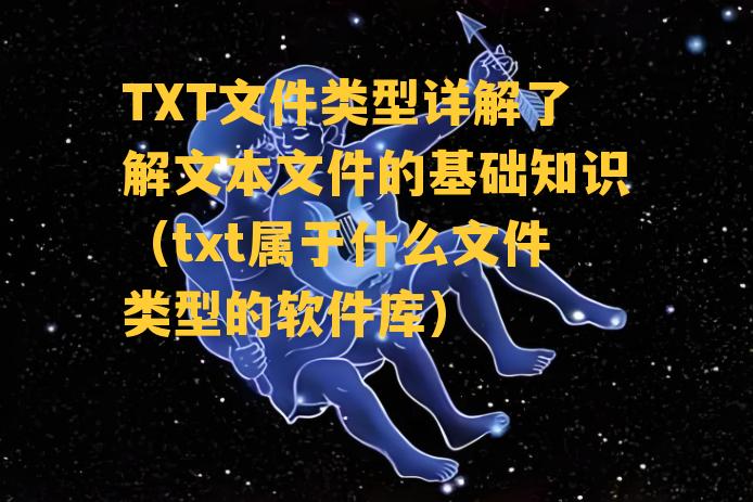 TXT文件类型详解了解文本文件的基础知识（txt属于什么文件类型的软件库）