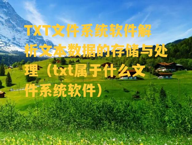 TXT文件系统软件解析文本数据的存储与处理（txt属于什么文件系统软件）