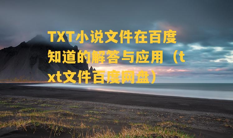 TXT小说文件在百度知道的解答与应用（txt文件百度网盘）