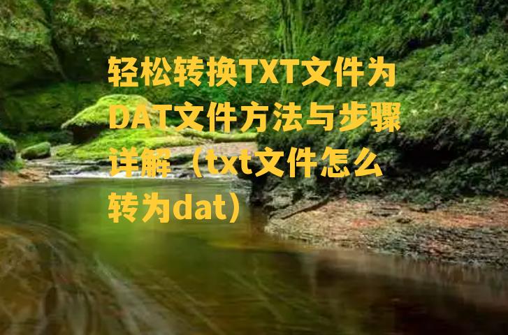 轻松转换TXT文件为DAT文件方法与步骤详解（txt文件怎么转为dat）