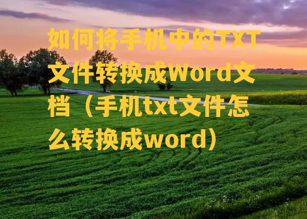 如何将手机中的TXT文件转换成Word文档（手机txt文件怎么转换成word）