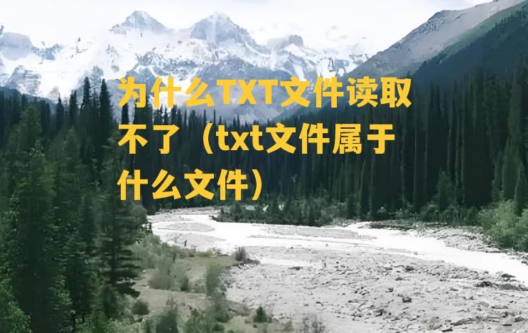 为什么TXT文件读取不了（txt文件属于什么文件）