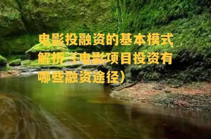 电影投融资的基本模式解析（电影项目投资有哪些融资途径）