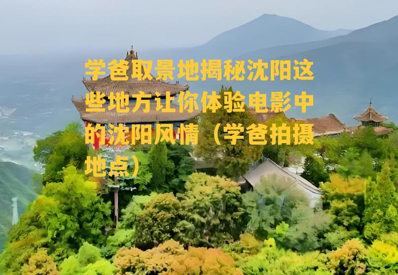 学爸取景地揭秘沈阳这些地方让你体验电影中的沈阳风情（学爸拍摄地点）