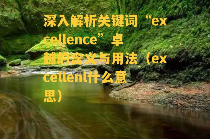 深入解析关键词“excellence”卓越的含义与用法（excellenl什么意思）