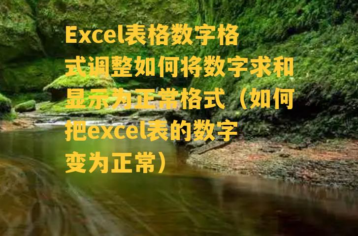 Excel表格数字格式调整如何将数字求和显示为正常格式（如何把excel表的数字变为正常）