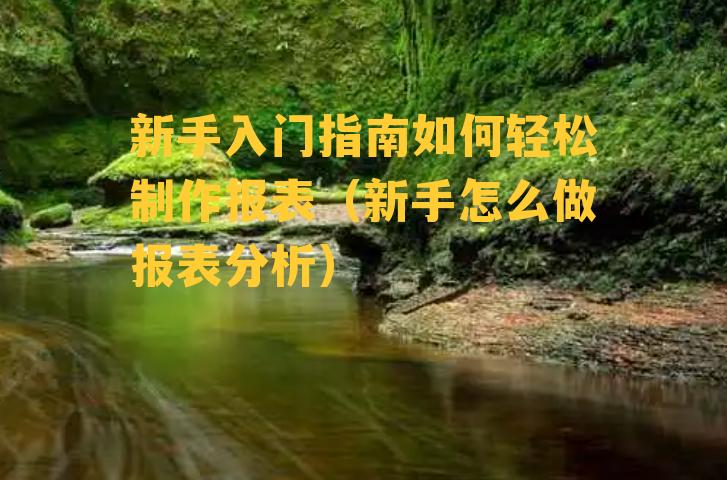 新手入门指南如何轻松制作报表（新手怎么做报表分析）