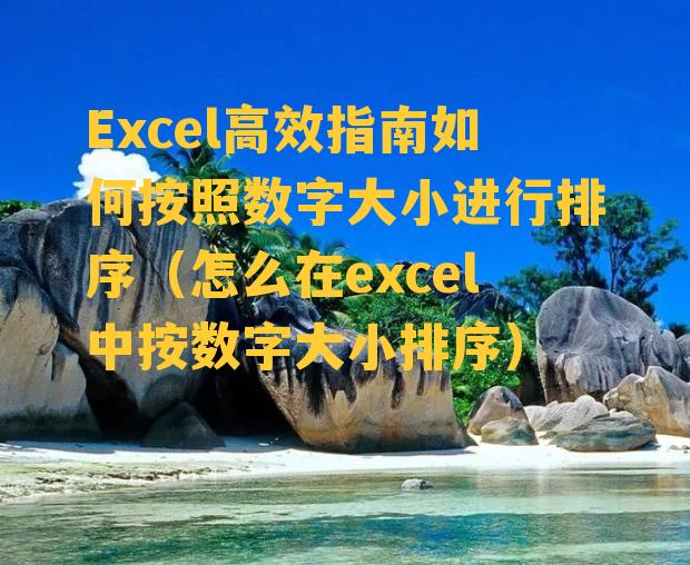 Excel高效指南如何按照数字大小进行排序（怎么在excel中按数字大小排序）