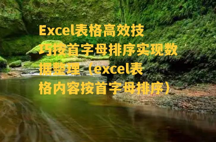 Excel表格高效技巧按首字母排序实现数据整理（excel表格内容按首字母排序）