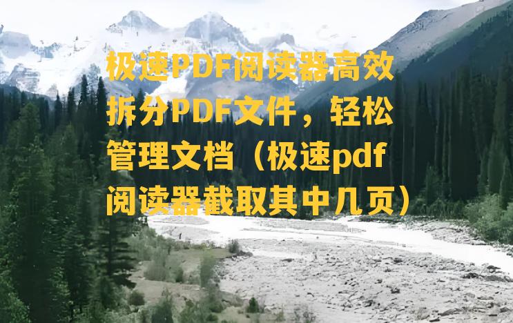 极速PDF阅读器高效拆分PDF文件，轻松管理文档（极速pdf阅读器截取其中几页）