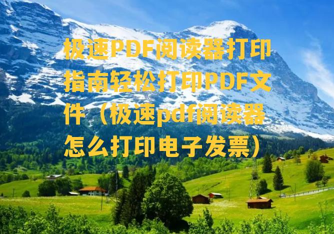 极速PDF阅读器打印指南轻松打印PDF文件（极速pdf阅读器怎么打印电子发票）