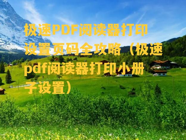 极速PDF阅读器打印设置页码全攻略（极速pdf阅读器打印小册子设置）