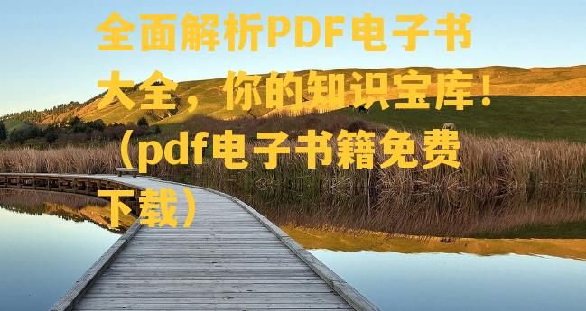 全面解析PDF电子书大全，你的知识宝库！（pdf电子书籍免费下载）