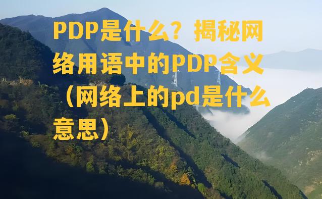 PDP是什么？揭秘网络用语中的PDP含义（网络上的pd是什么意思）